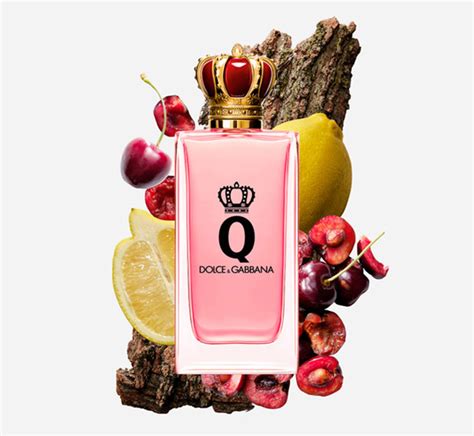 dolce gabbana shiseido|dolce and gabbana perfume q.